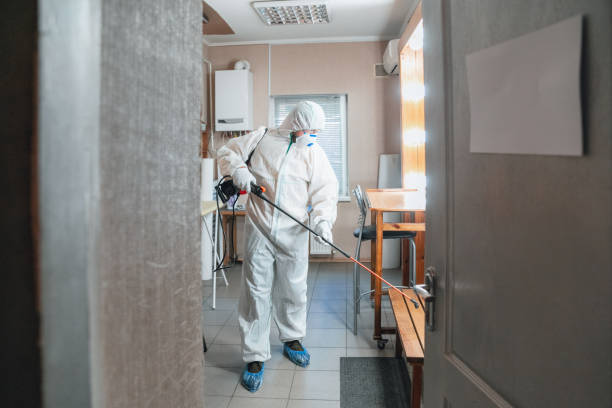 Best Mold Prevention Services  in Dimondale, MI